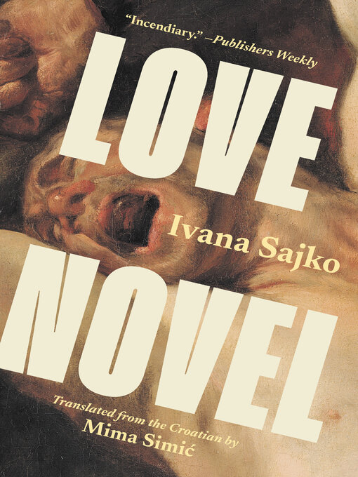 Cover image for Love Novel